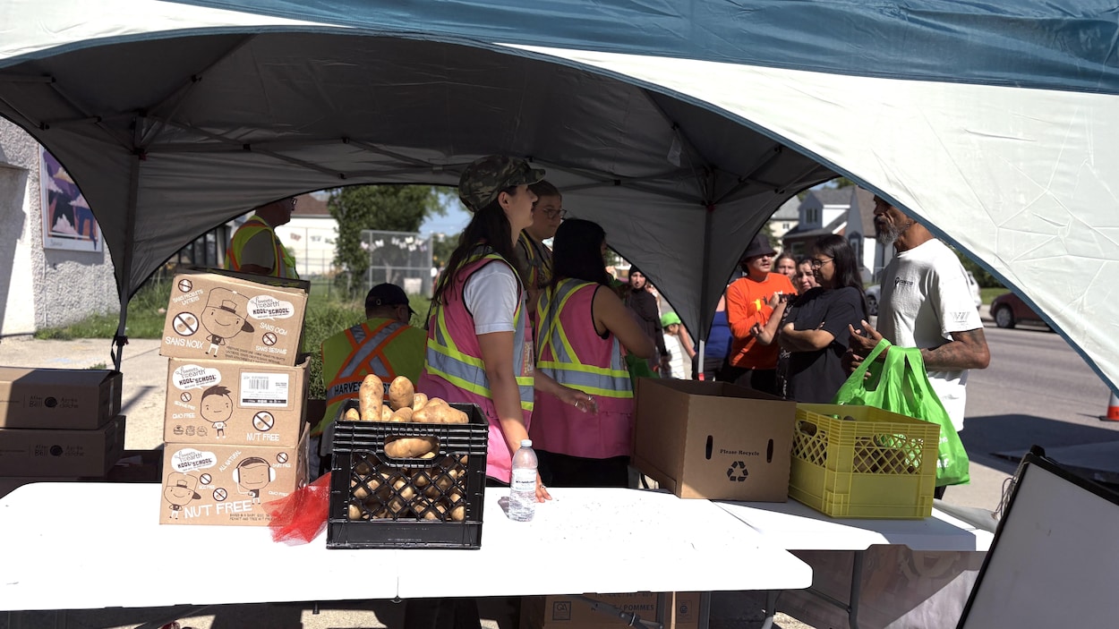 Un programme pour lutter contre l’insécurité alimentaire juvénile durant l’été