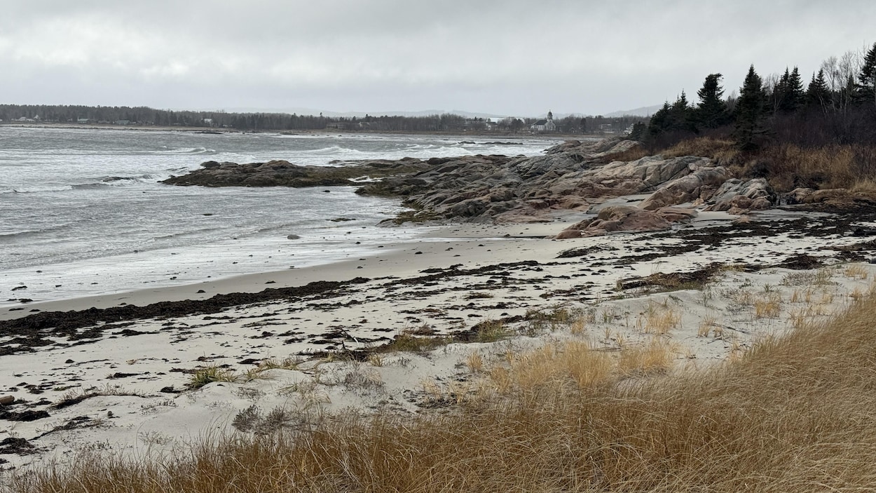 En difficulté, le Comité ZIP de la Rive-Nord de l’Estuaire cesse ses activités