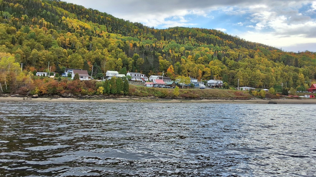 Eurêko! obtient 200 000 $ pour continuer à restaurer le parc marin Saguenay–Saint-Laurent