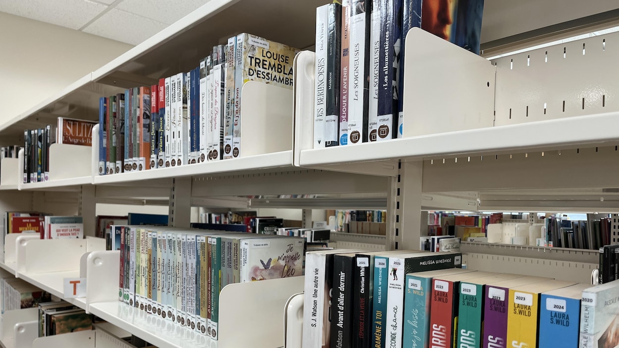 Les investissements dans les bibliothèques toujours insuffisants