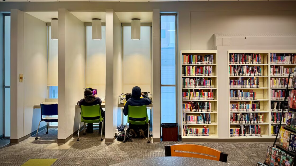 Le métier de bibliothécaire évolue avec l’afflux croissant des sans-abris