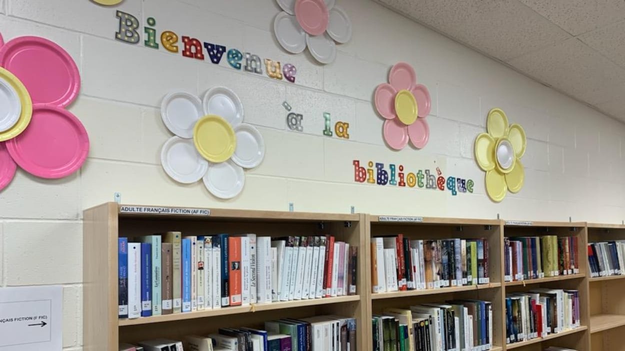 Vers une possible régionalisaion des bibliothèques francophones