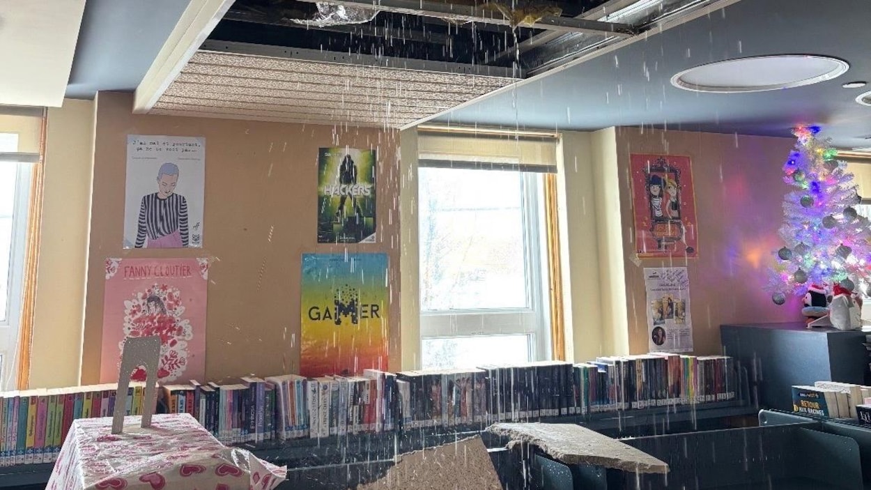 Jusqu’à 4000 $ de dommages à bibliothèque de Windsor