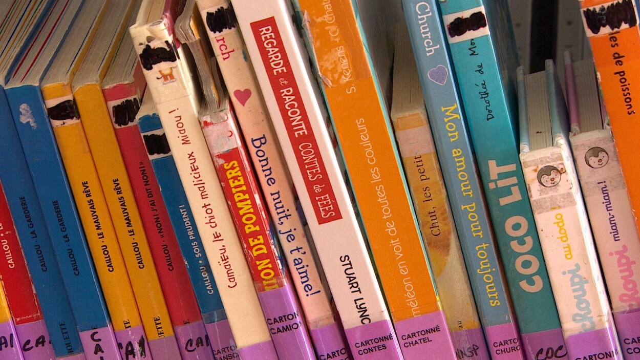 Des livres sur une étagère.