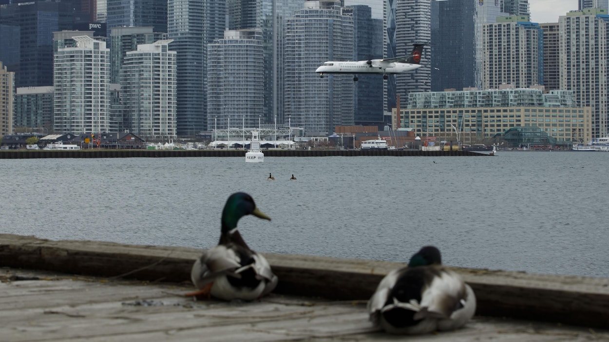 Aéroport Billy Bishop : la décision d’Ottawa accueillie avec soulagement à Toronto