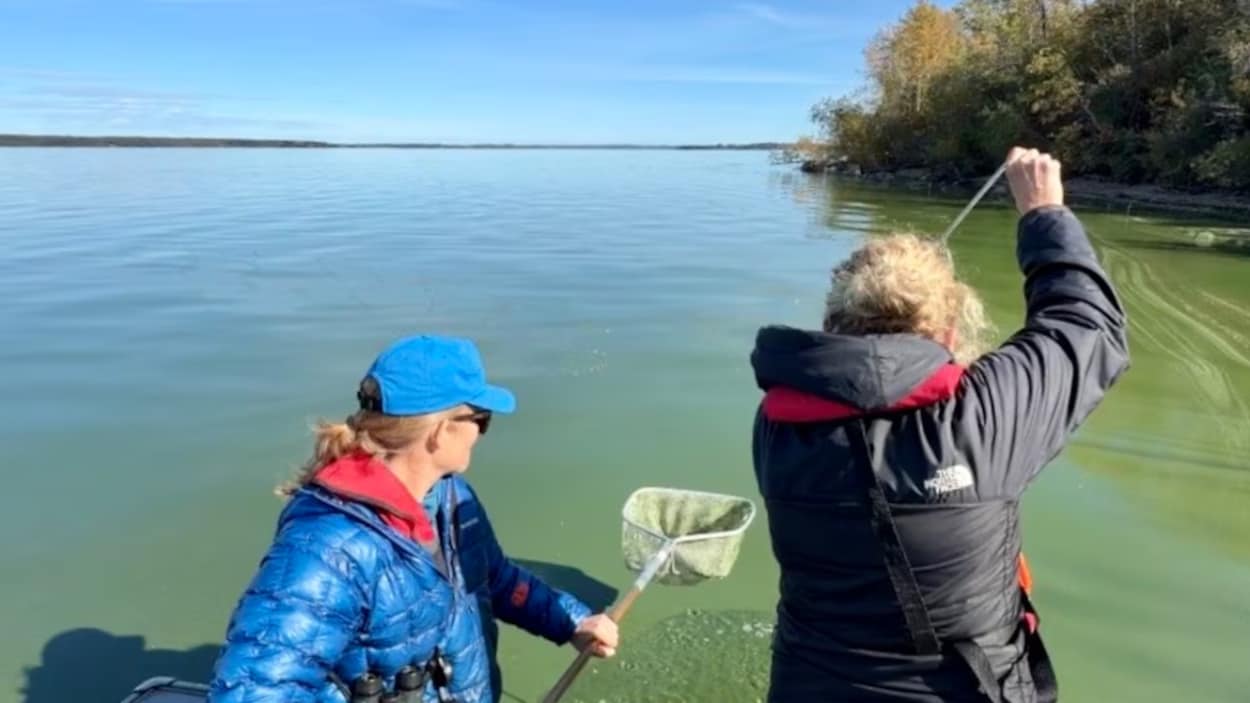 Des biologistes scrutent le littoral du lac la Biche