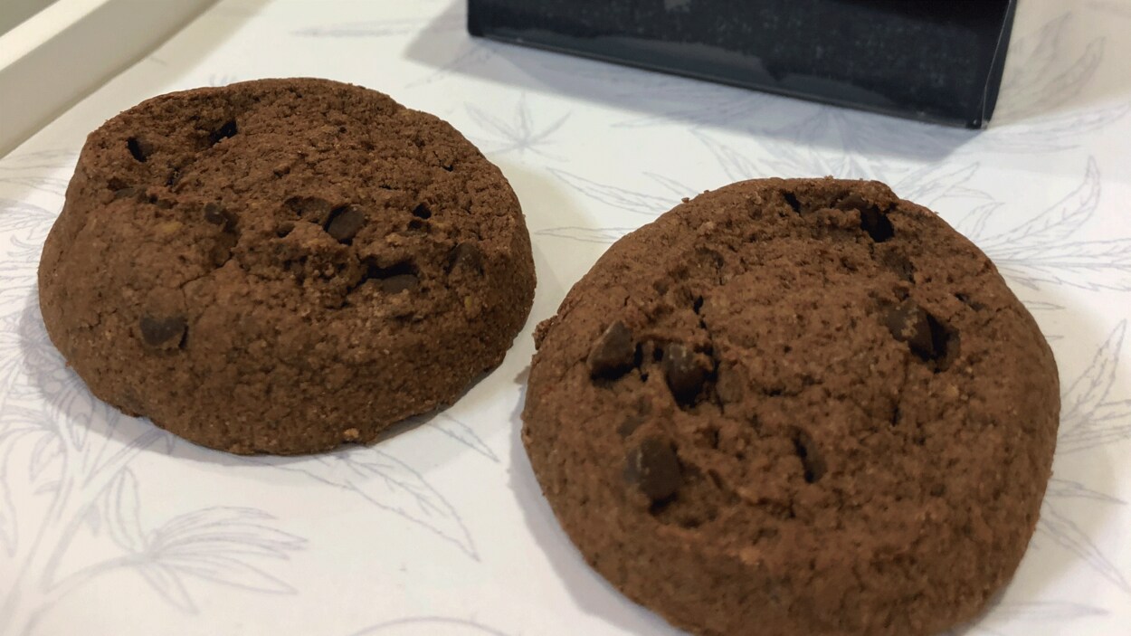 Deux biscuits au chocolat.