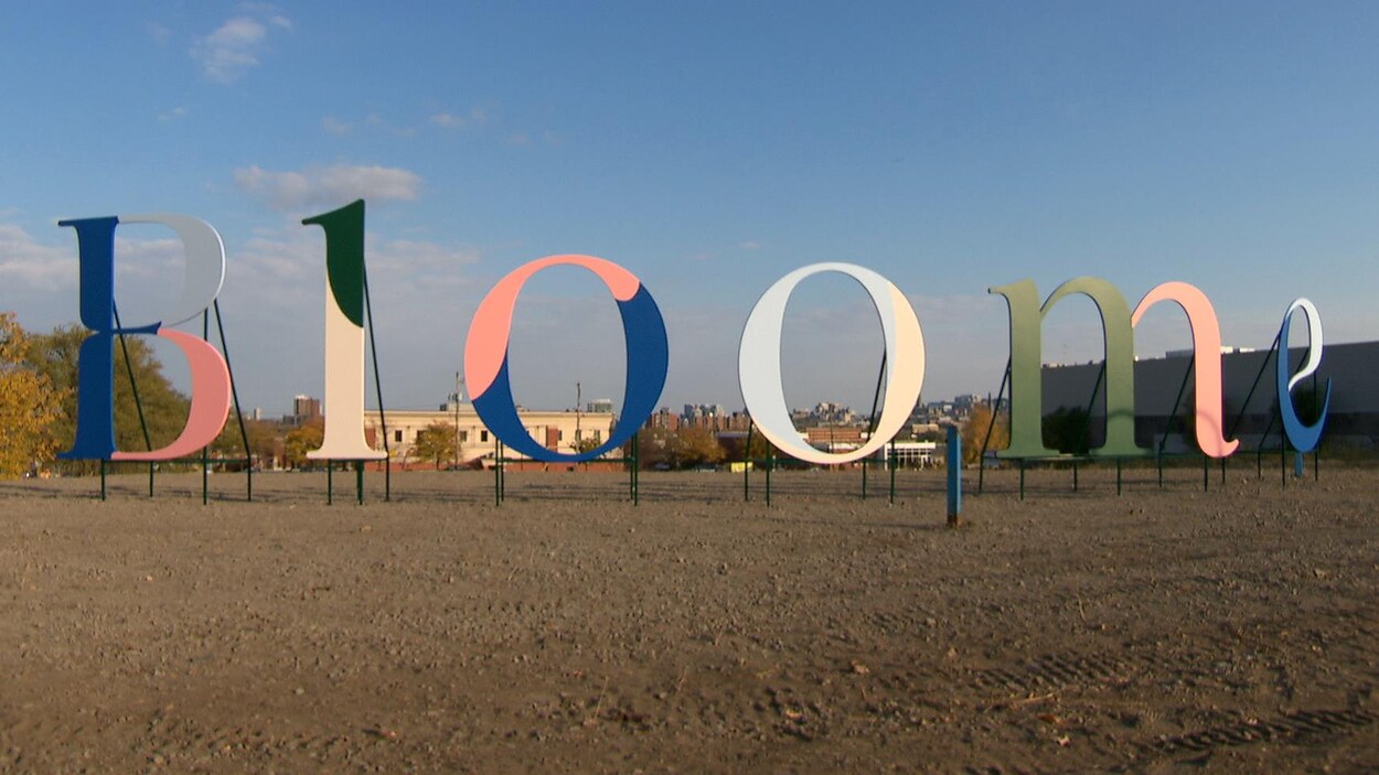 Des lettres hautes d'au moins deux mètres forment le mot «Bloome» sur le terrain vacant situé coin Saint-Jospeh et Montclair.