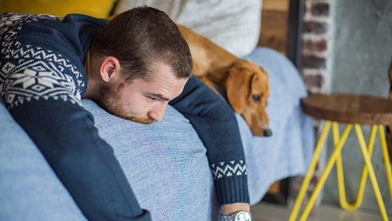 Un homme couché sur un lit déprimé et son chien est déprimé aussi Un homme couché sur un lit déprimé et son chien est déprimé aussi