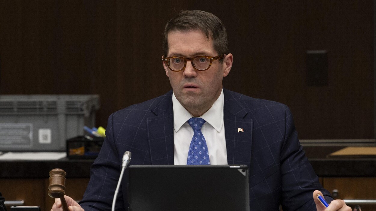 Bob Zimmer