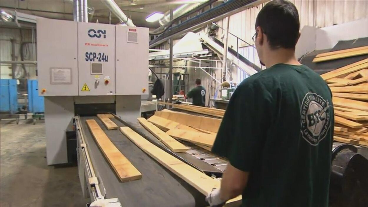 Usine de Bois BSL (archive) Usine de Bois BSL (archive)
