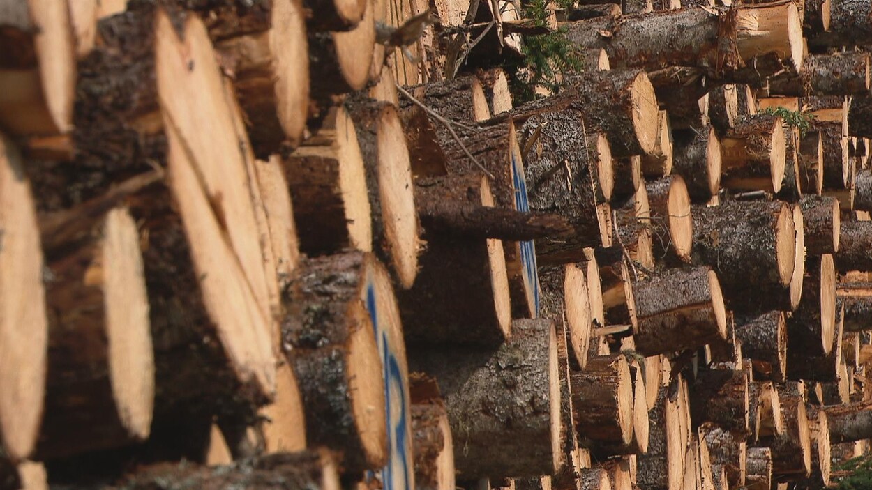 Des troncs d'arbre empilés les uns sur les autres
