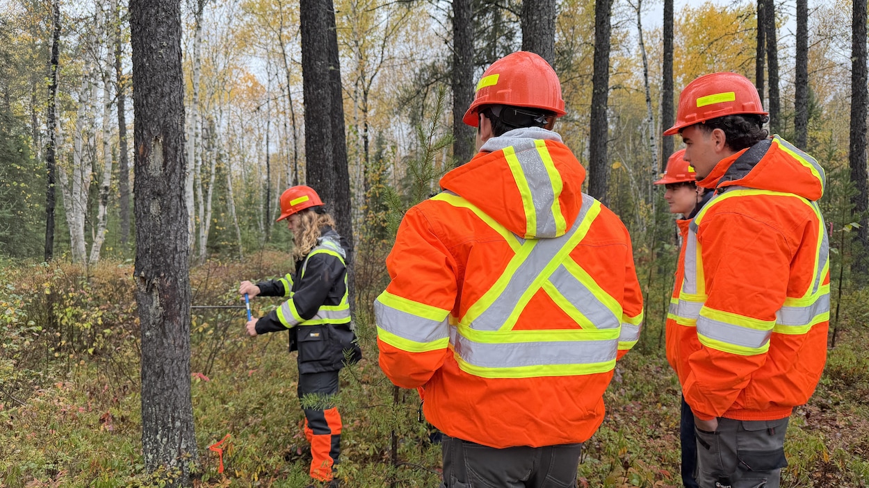 Malgré les défis du secteur, la foresterie rayonne à l’international