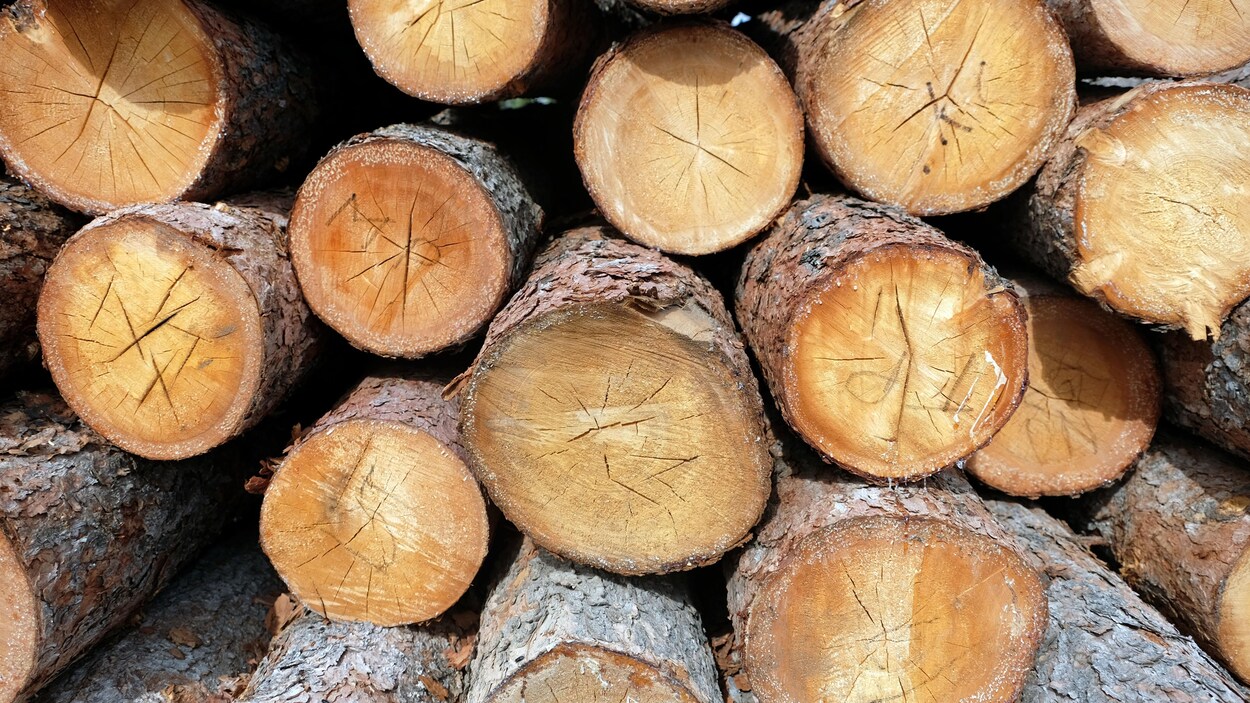 Des billots de bois empilés les uns par-dessus les autres.