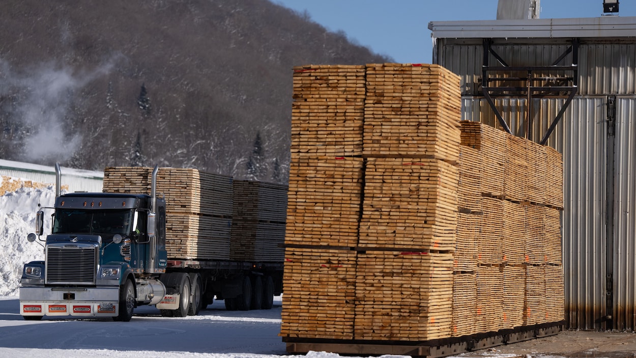 500 M$ pour diversifier le secteur forestier au Canada