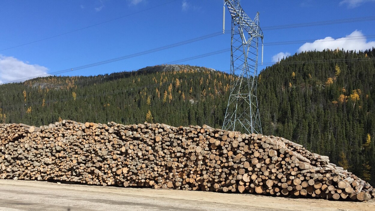 Du bois abandonné près du chantier de la Romaine