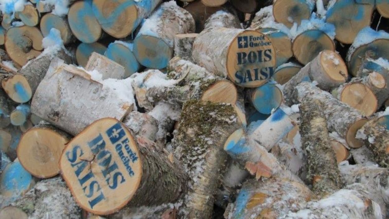 De bûches empilées les unes sur les autres De bûches empilées les unes sur les autres