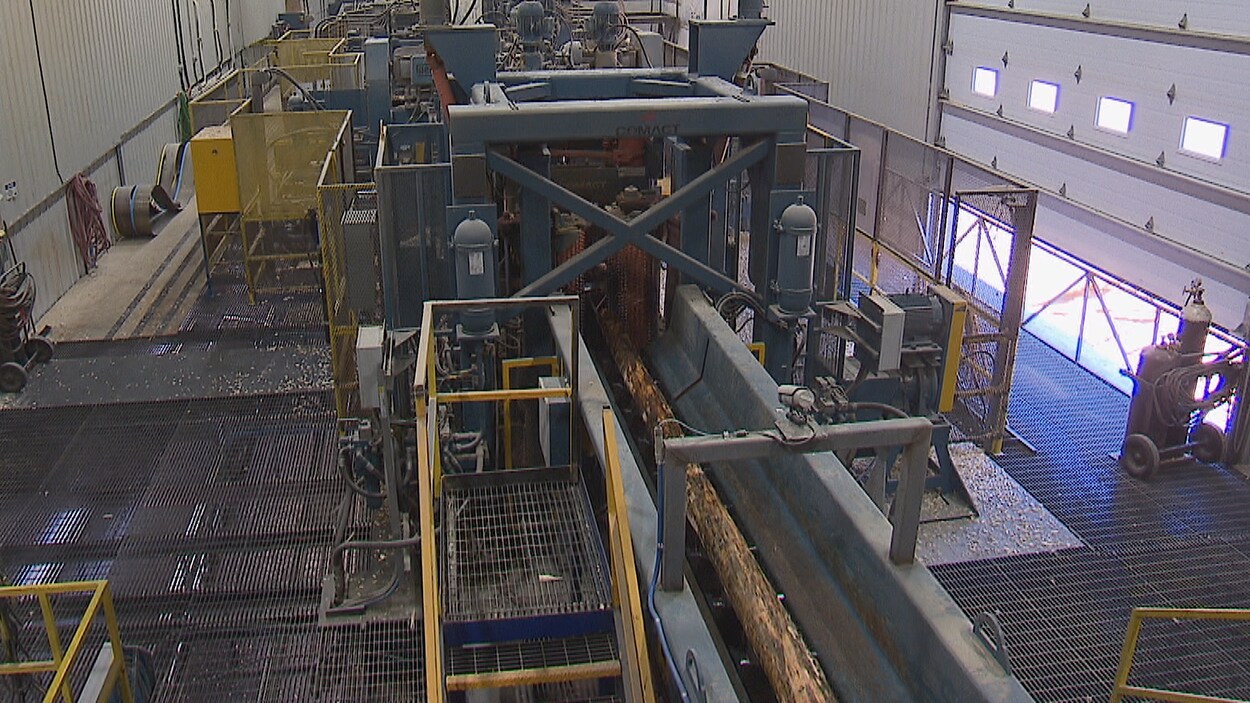 Une machine coupe des troncs d'arbre.