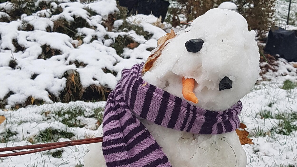Un bonhomme de neige, avec un foulard mauve Un bonhomme de neige, avec un foulard mauve