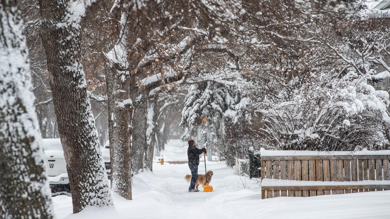 Du froid et de la poudrerie continuent de toucher l’Alberta