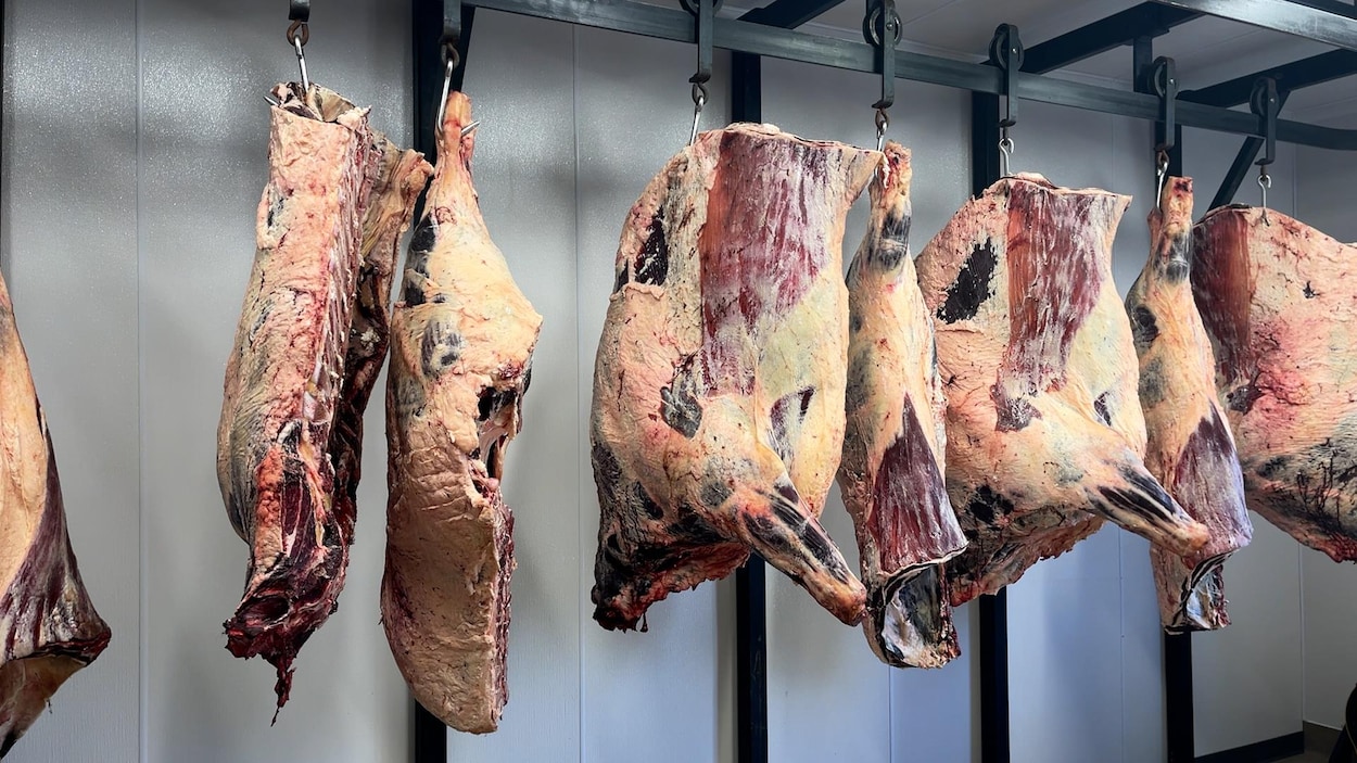 Une boucherie dans le nord de l’Okanagan pour transformer la viande localement