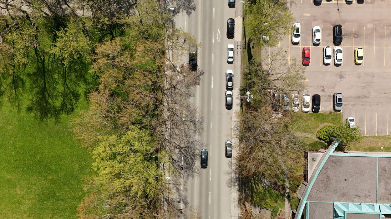 Toujours pas de date précise pour les coupes d’arbres sur René-Lévesque