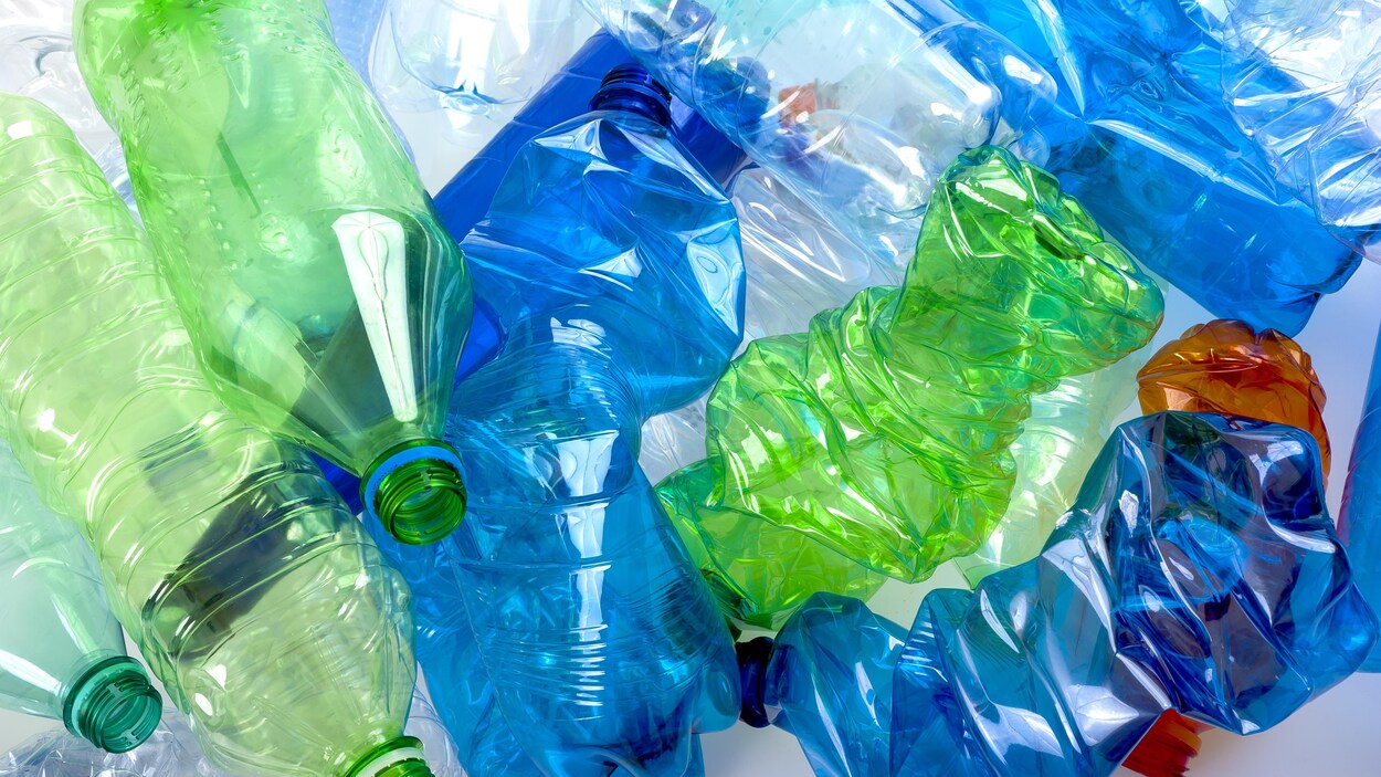 Des bouteilles de plastique.