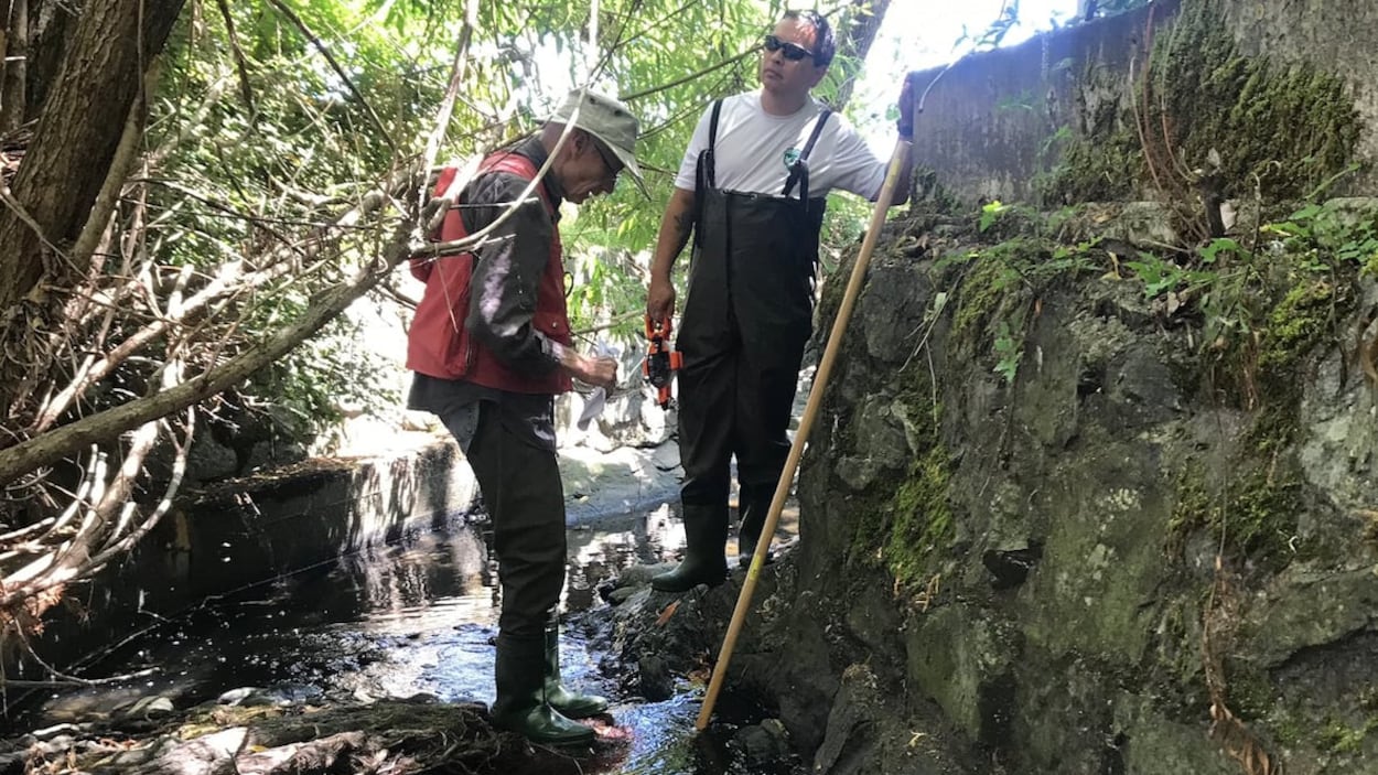 Deux hommes les pieds dans une partie peu profonde du ruisseau.