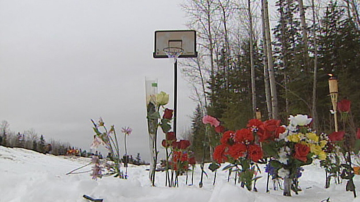 Des fleurs dans la neige devant un panier de Basketball Des fleurs dans la neige devant un panier de Basketball