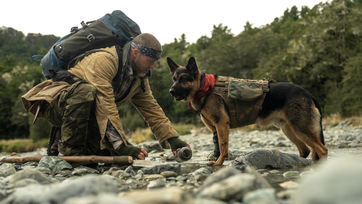 Au cœur de la bête : l’expertise montréalaise derrière le chien de Brad Pitt