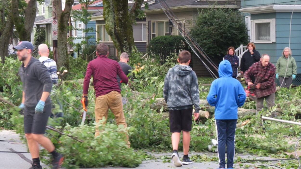 Plusieurs résidents ramassent des branches d'arbres tombées dans une rue d'Halifax.