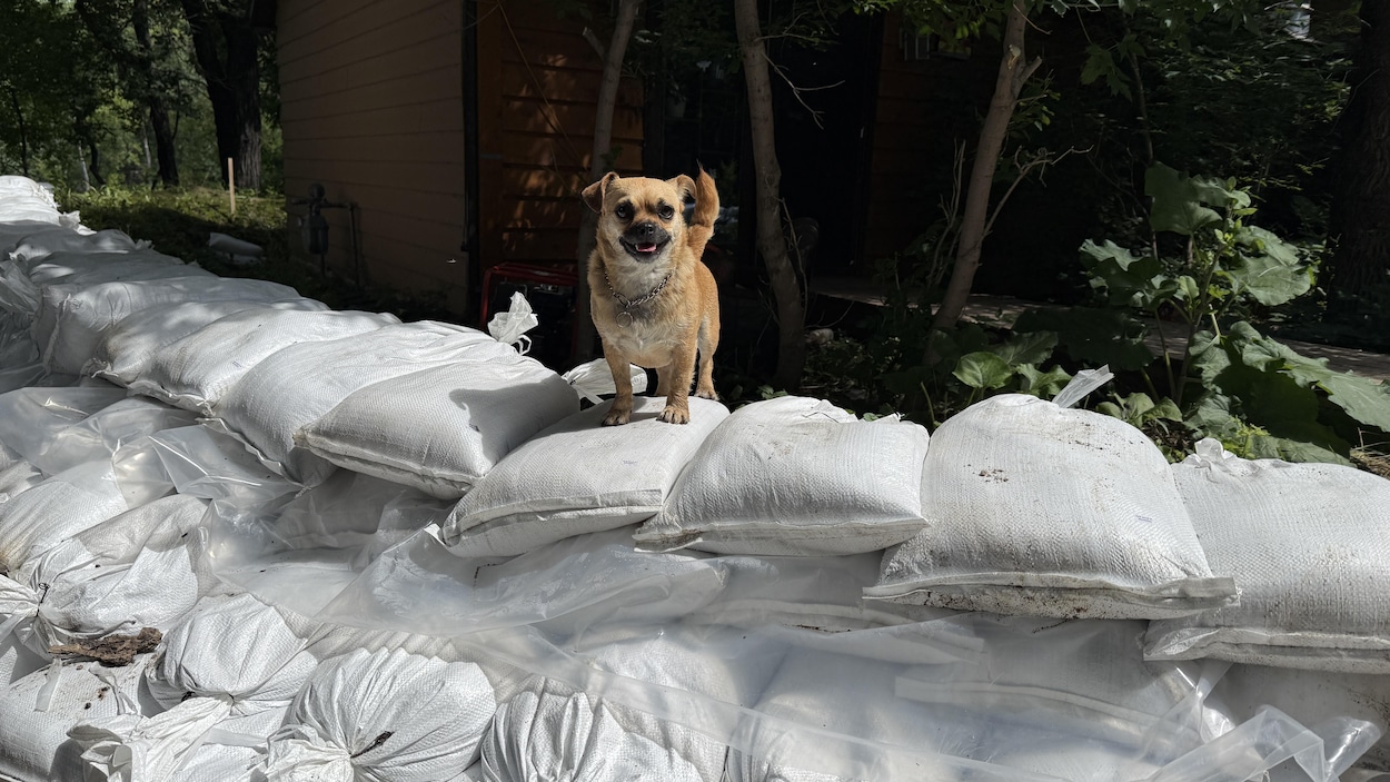 À Brandon, tout le monde se prépare pour les inondations