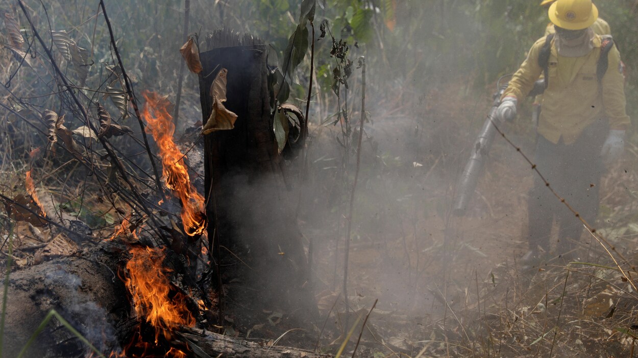 Des pompiers éteignent un incendie dans la jungle amazonienne de Porto Velho, au Brésil, le 25 août 2019.