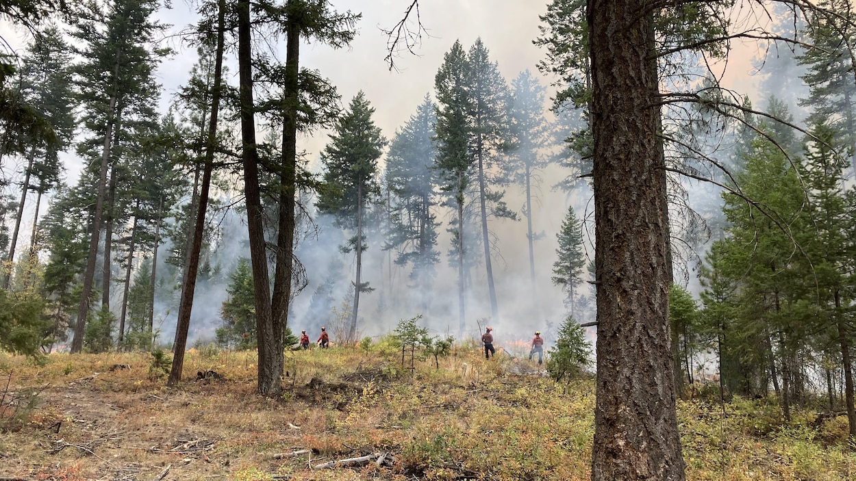 La saison des feux de forêt est déjà commencée en C.-B.