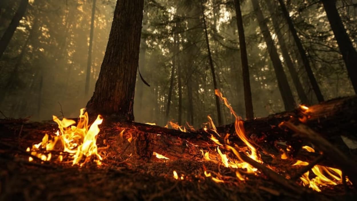 Un changement en matière de stratégie climatique sème l’inquiétude