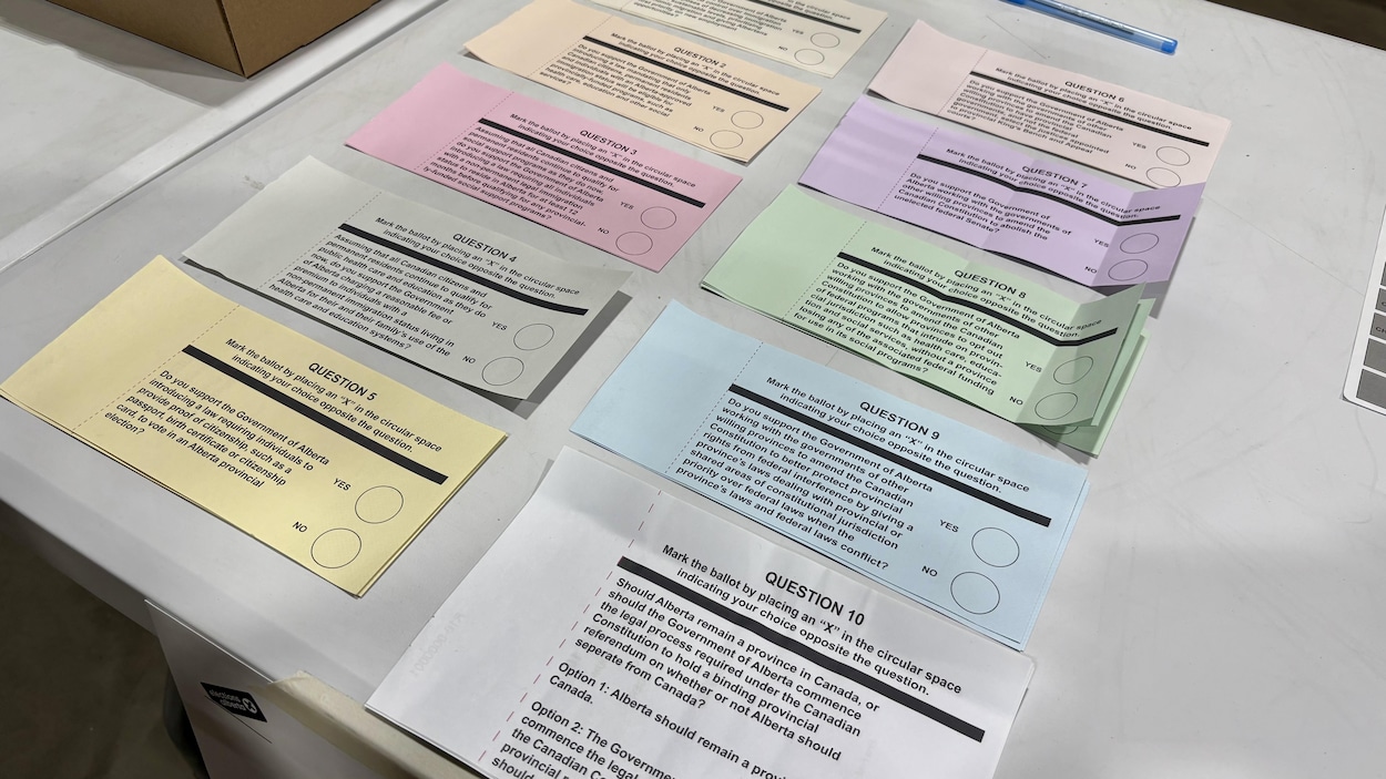Comment voter lors du référendum
