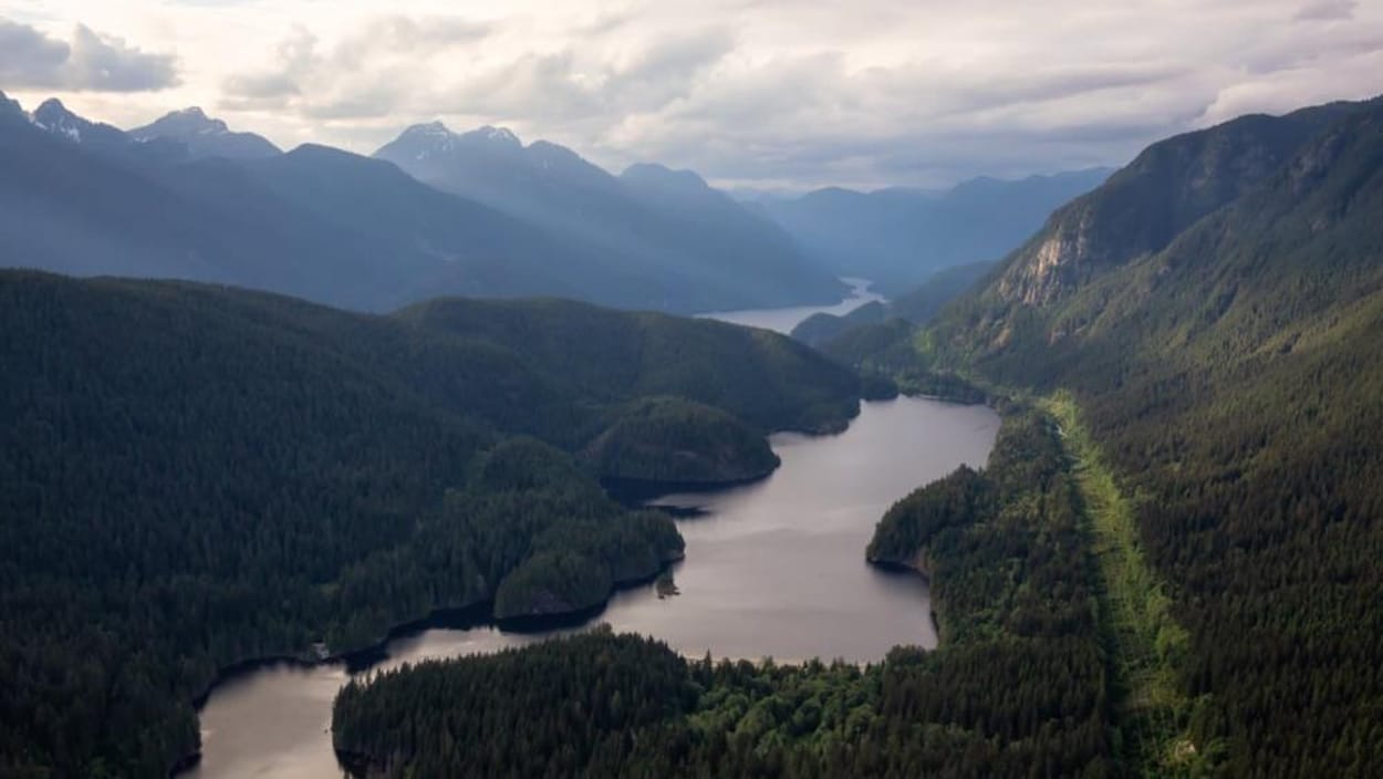 Un lac entouré de montagnes et d'arbres.
