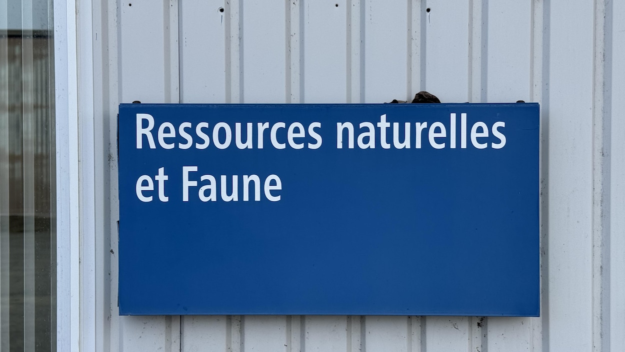 La CAQ rejette une motion du PQ sur les bureaux de la faune