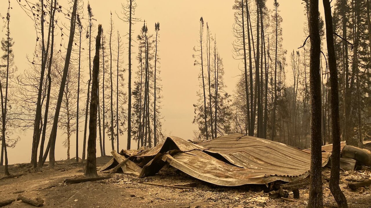 Feux de forêt : 29 chalets ont été ravagés par les flammes au Manitoba