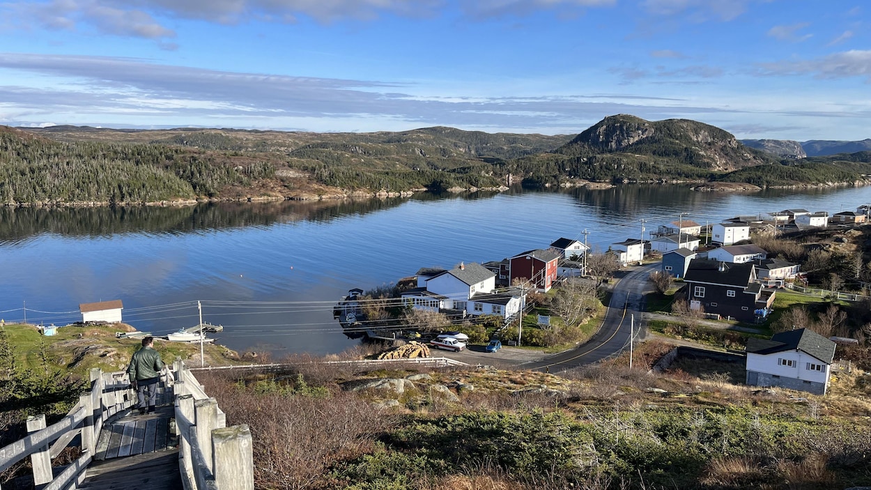 L’abandon d’un projet de conservation marine à T.-N.-L. soulève des inquiétudes