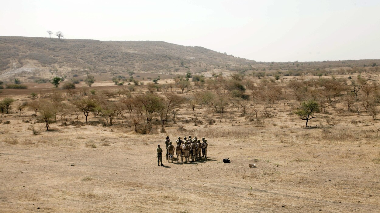 Un commando de militaires lors d'un entraînement