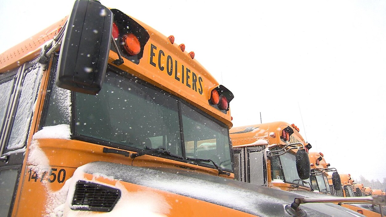 Des bus scolaires enneigés