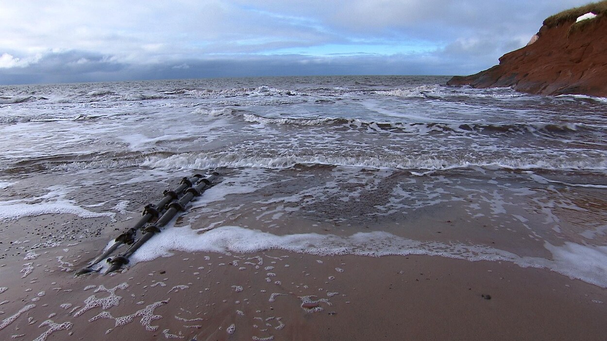 Les câbles sous-marins qui relient l'archipel au continent