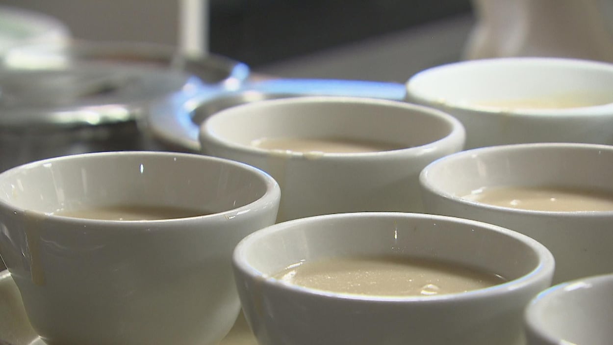 Des bols remplis de potage