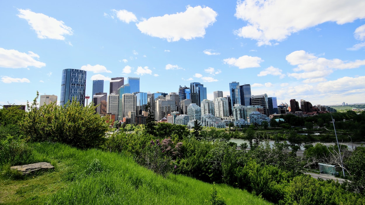 La canopée de Calgary s’agrandit avec une plantation record d’arbres en 2025