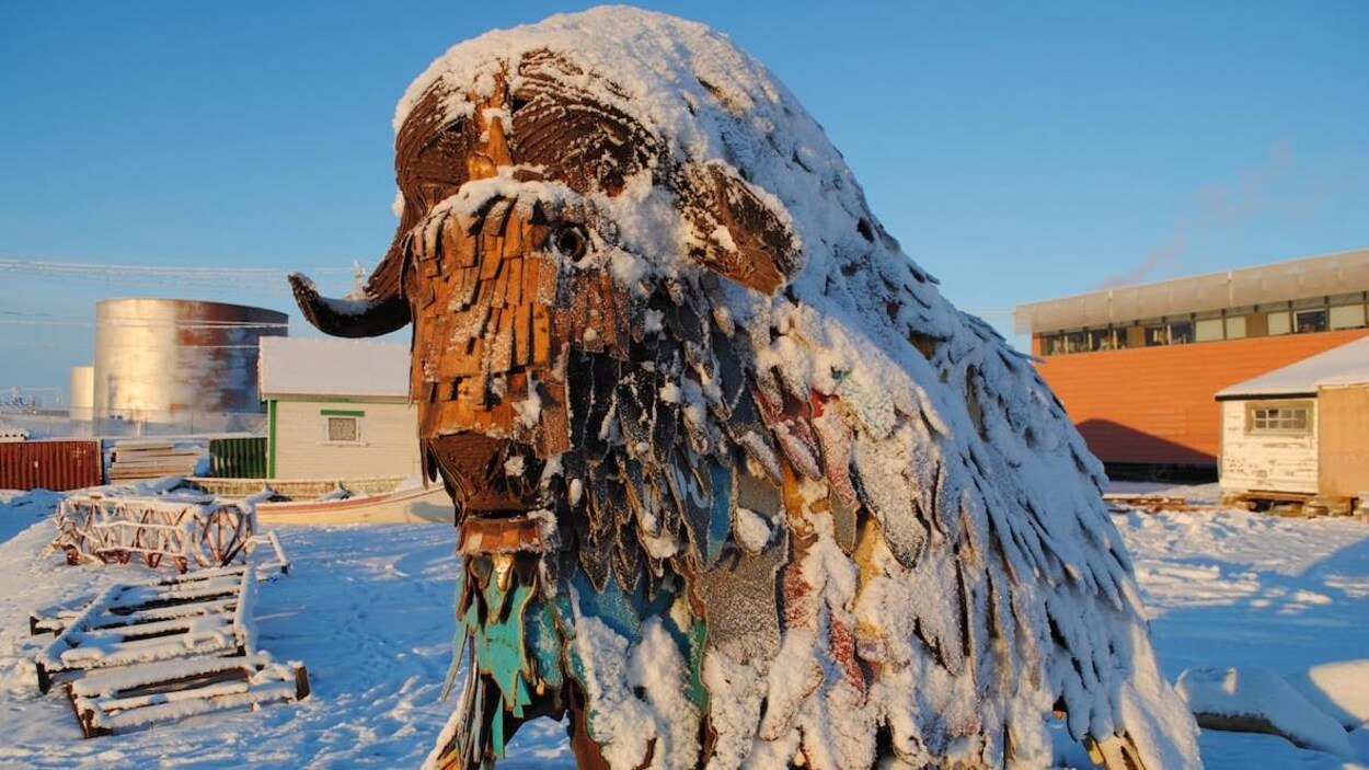 Plan moyen d'un bison de métal sous la neige par une journée ensoleillée.