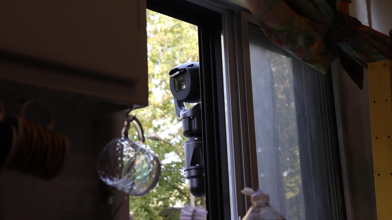 « Je me suis sentie envahie » : une caméra du SPVM apparaît dans sa fenêtre de cuisine