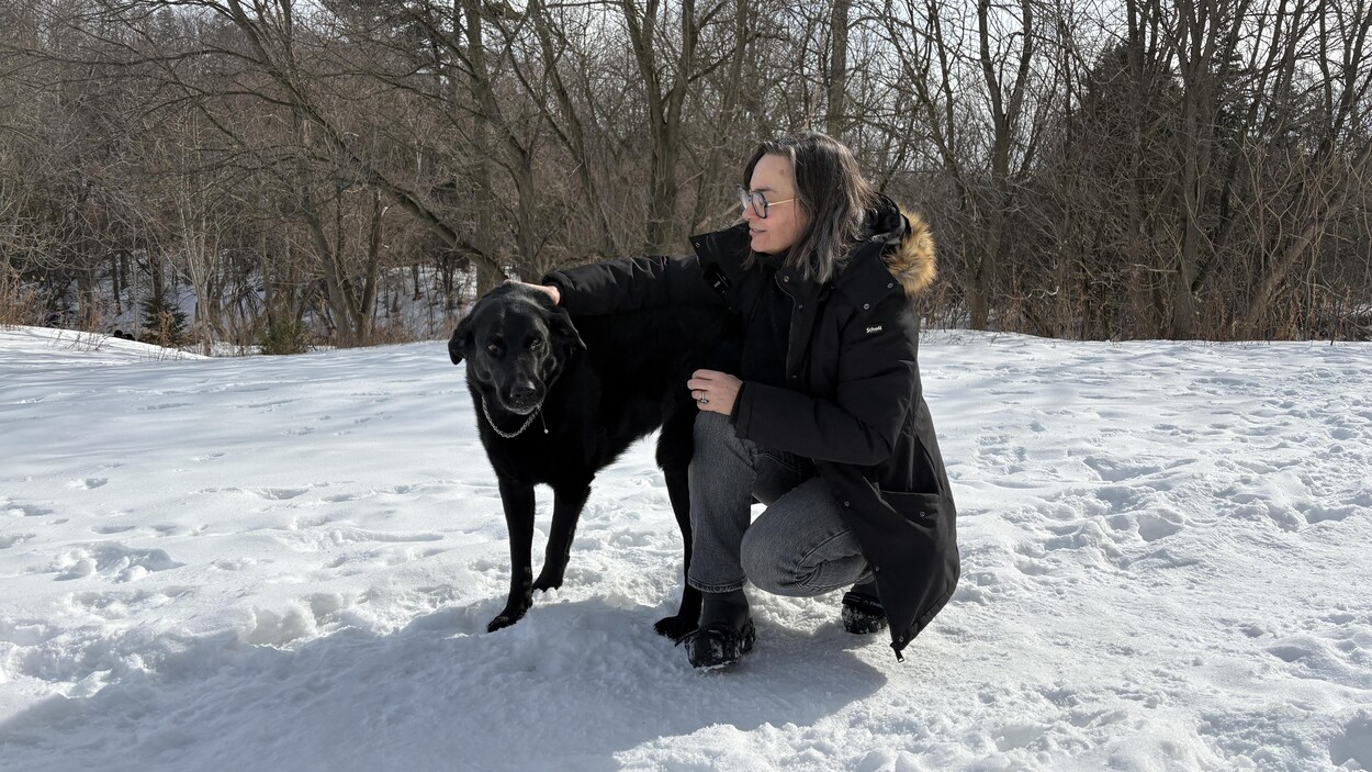 L'angoisse de voir vieillir son chien