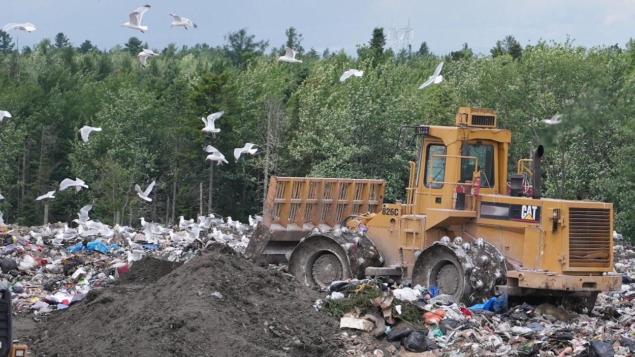L’héritage toxique des anciens dépotoirs municipaux