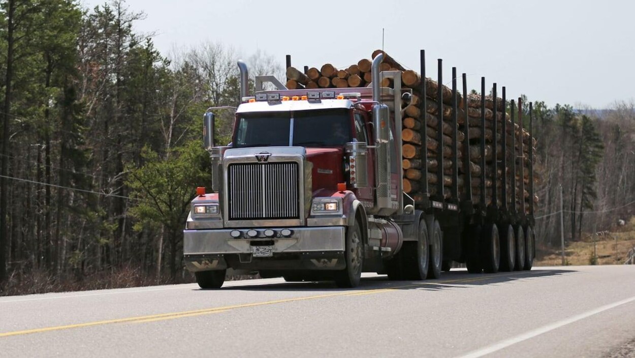 Un camion transportant du bois sur une route.